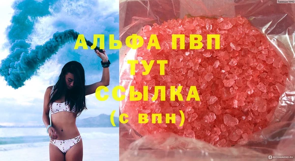 стафф Карпинск