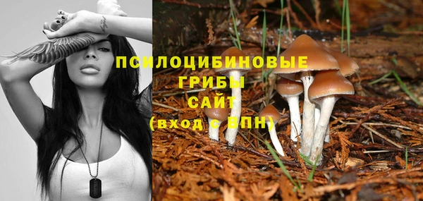 кокаин премиум Козельск