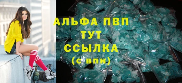 ешки Корсаков