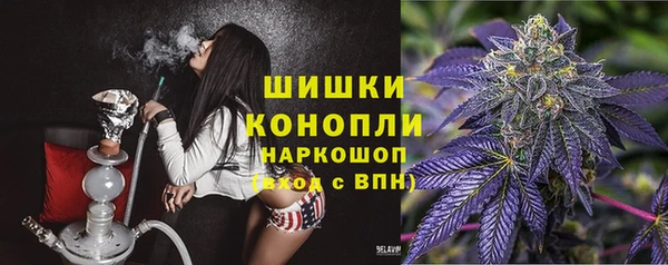 прущие крисы Киренск
